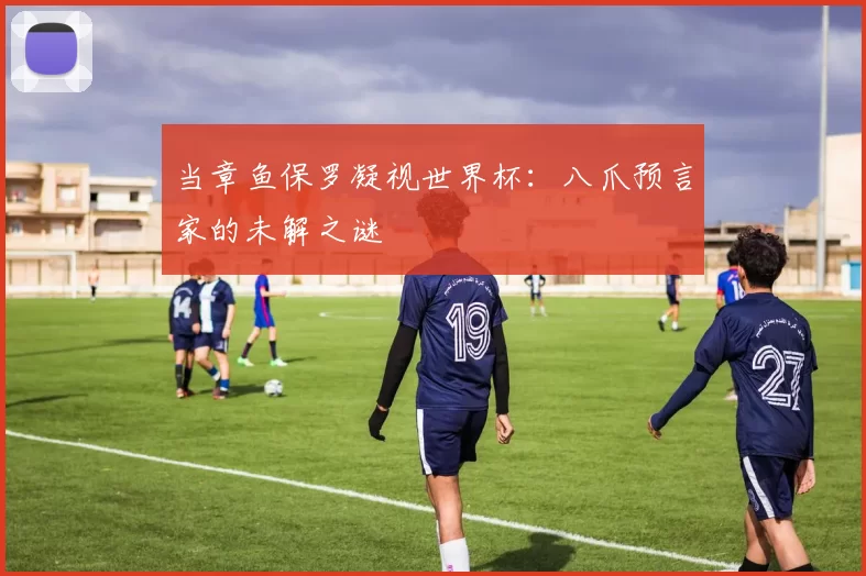 当章鱼保罗凝视世界杯：八爪预言家的未解之谜
