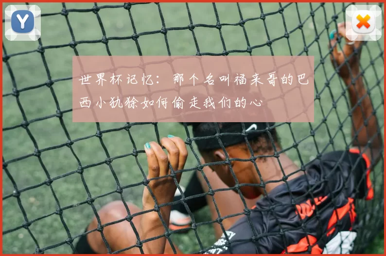 世界杯记忆:那个名叫福来哥的巴西小犰狳如何偷走我们的心