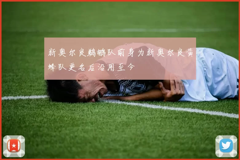 新奥尔良鹈鹕队前身为新奥尔良黄蜂队更名后沿用至今