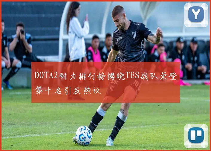 DOTA2耐力排行榜揭晓TES战队荣登第十名引发热议
