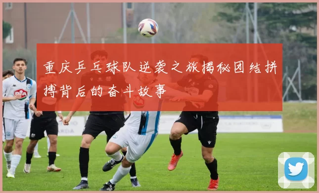 重庆乒乓球队逆袭之旅揭秘团结拼搏背后的奋斗故事