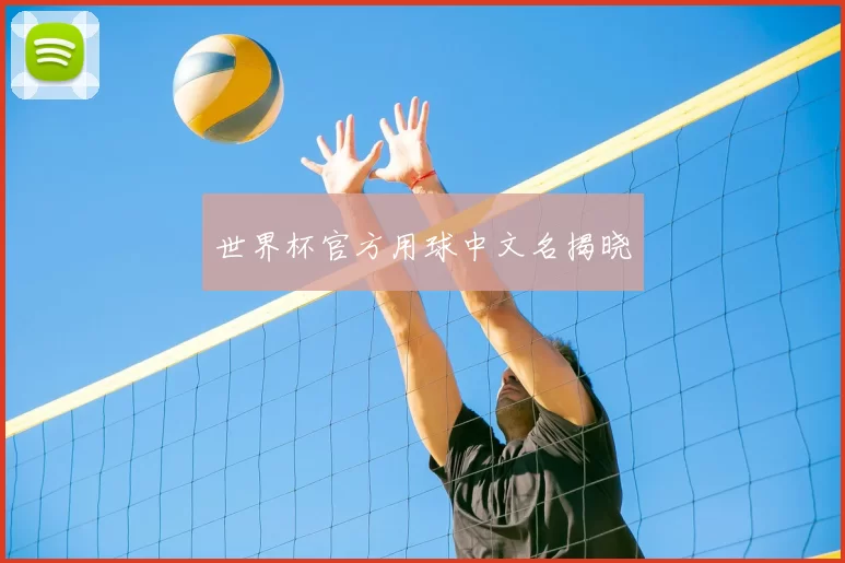 世界杯官方用球中文名揭晓