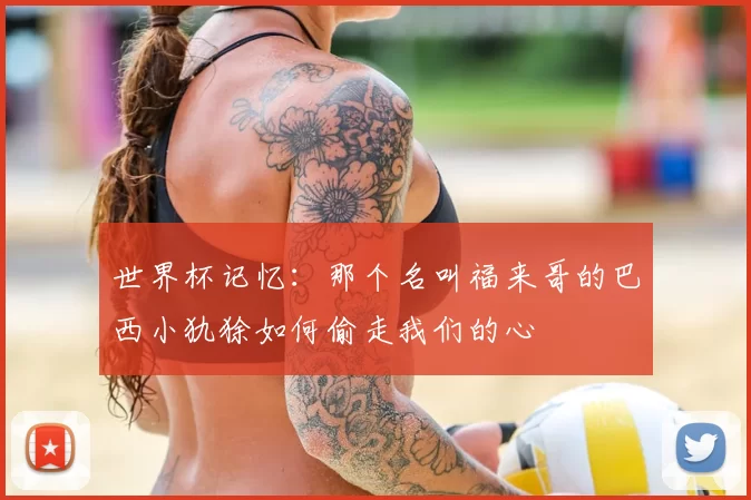 世界杯记忆：那个名叫福来哥的巴西小犰狳如何偷走我们的心